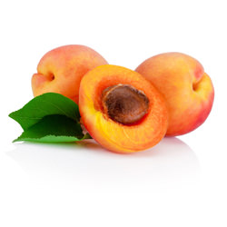 Apricot