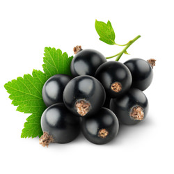 Black Currant