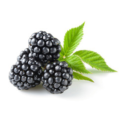 Blackberry