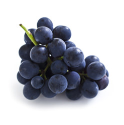 Concord Grape